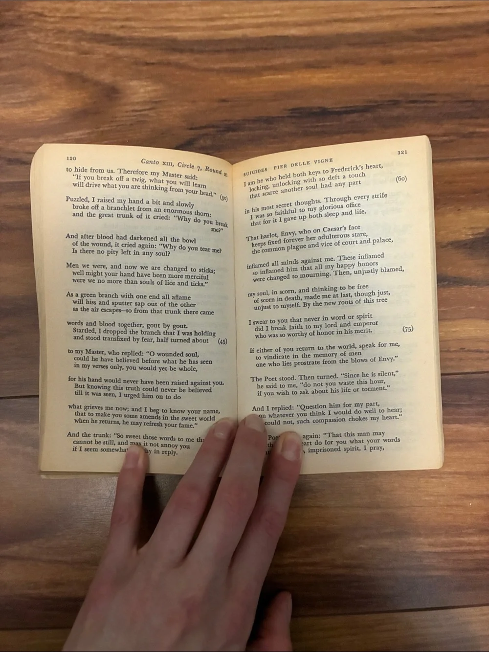 The Inferno - Dante’s immortal drama of a journey through hell - John Cardi